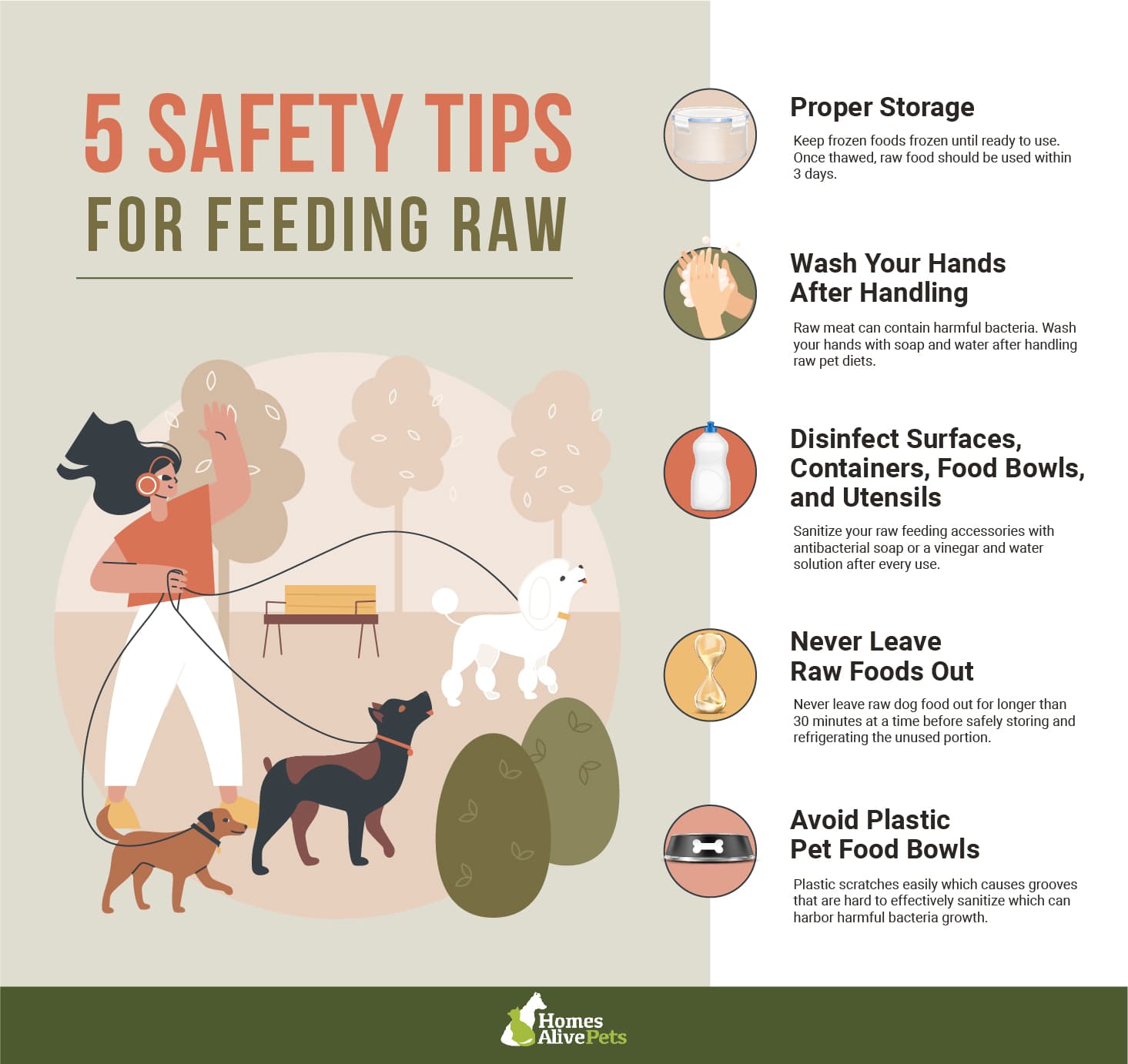 Learn Tips On How To Safely Feed Raw Pet Food To Your Dog 
